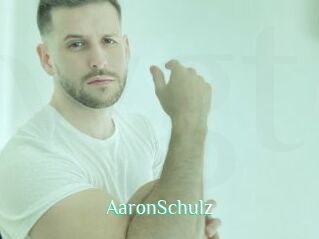 AaronSchulz