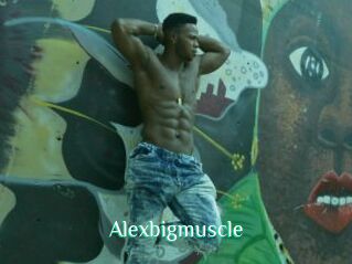 Alexbigmuscle