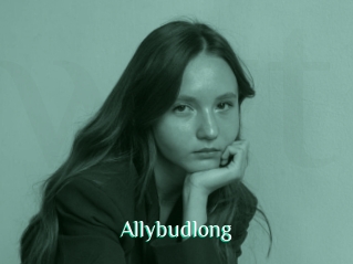 Allybudlong