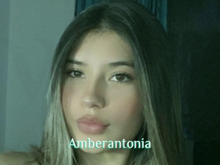 Amberantonia