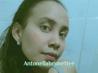 Antonellabrunettee