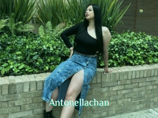 Antonellachan