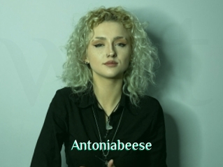 Antoniabeese