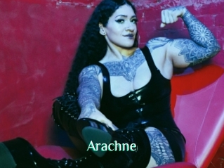 Arachne