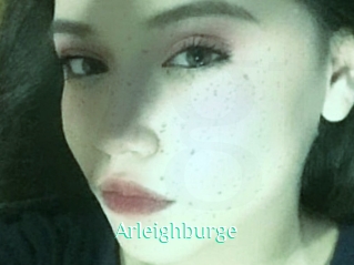 Arleighburge