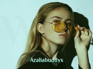 Azaliabuddyx