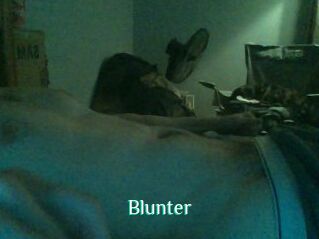 Blunter