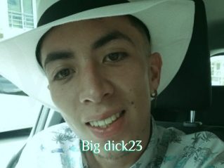 Big_dick23