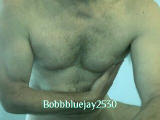 Bobbbluejay2530