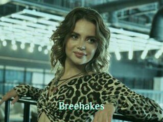 Breehakes