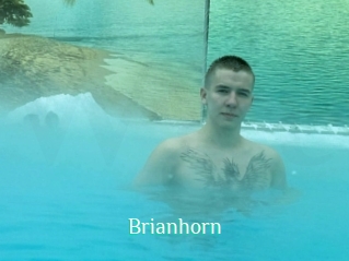 Brianhorn