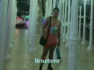 Brixebreo