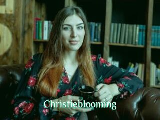 Christieblooming