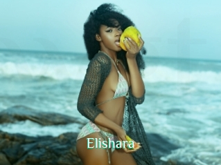 Elishara