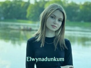 Elwynadunkum