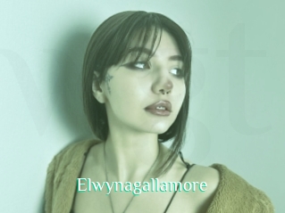 Elwynagallamore
