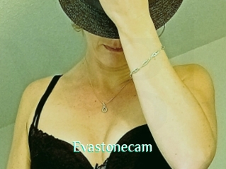 Evastonecam