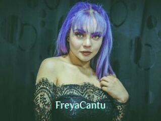 FreyaCantu