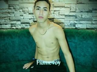 Flamevoy