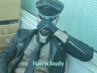 Hairycloudy