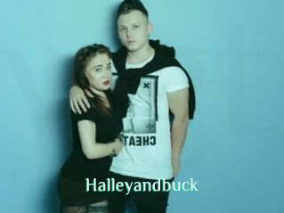 Halleyandbuck