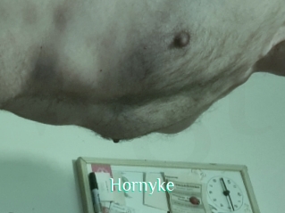 Hornyke