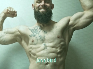 Jayybird