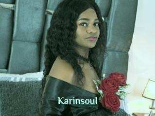 Karinsoul