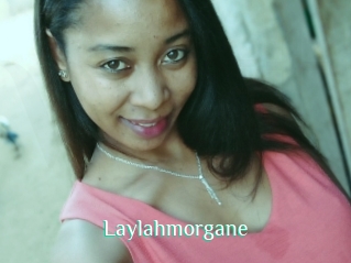 Laylahmorgane