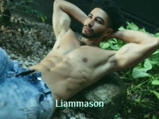 Liammason