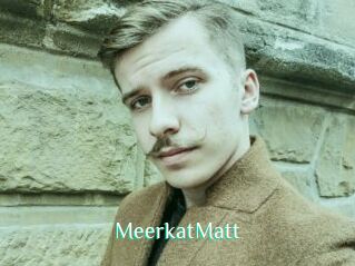 MeerkatMatt