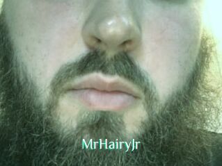 MrHairyJr
