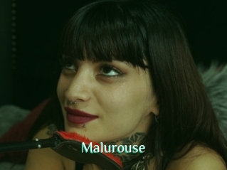 Malurouse