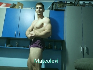 Mateolevi