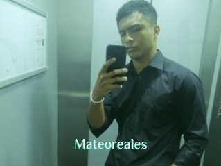 Mateoreales