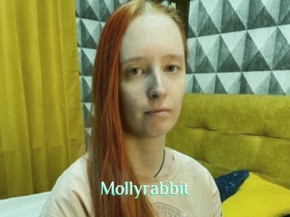 Mollyrabbit