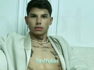 Nedfollin