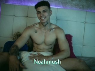 Noahmush