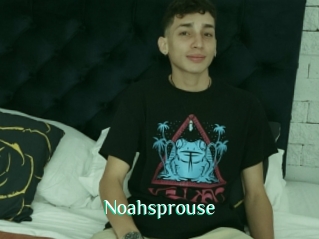 Noahsprouse