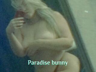 Paradise_bunny