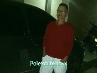 Polexcuteboyx