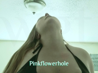 Pinkflowerhole