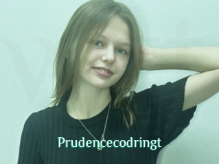 Prudencecodringt