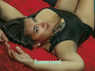 Roseereed