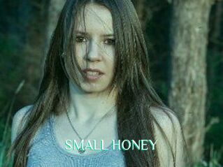 SMALL_HONEY