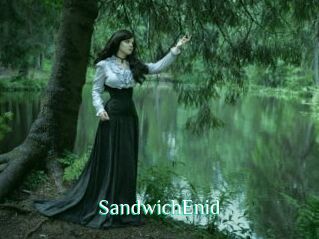 SandwichEnid