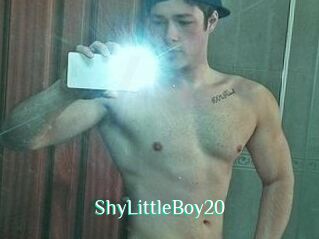 ShyLittleBoy20