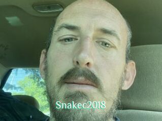 Snakec2018