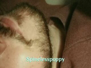 Spinelesspoppy