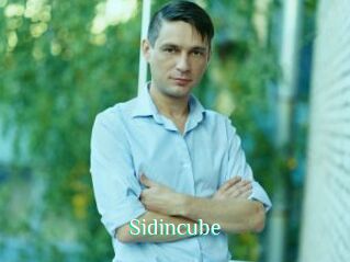 Sid_incube